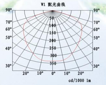 SNE237 LED应急泛光灯