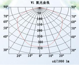 SNE238 LED应急泛光灯